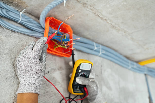 Best Electric Panel Repair  in Sand Point, AK