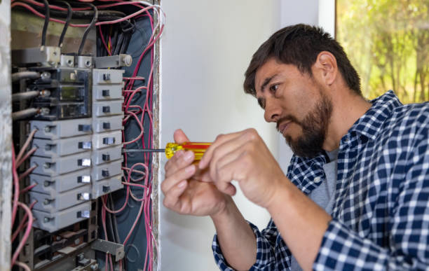 Best Generator Installation Services  in Sand Point, AK